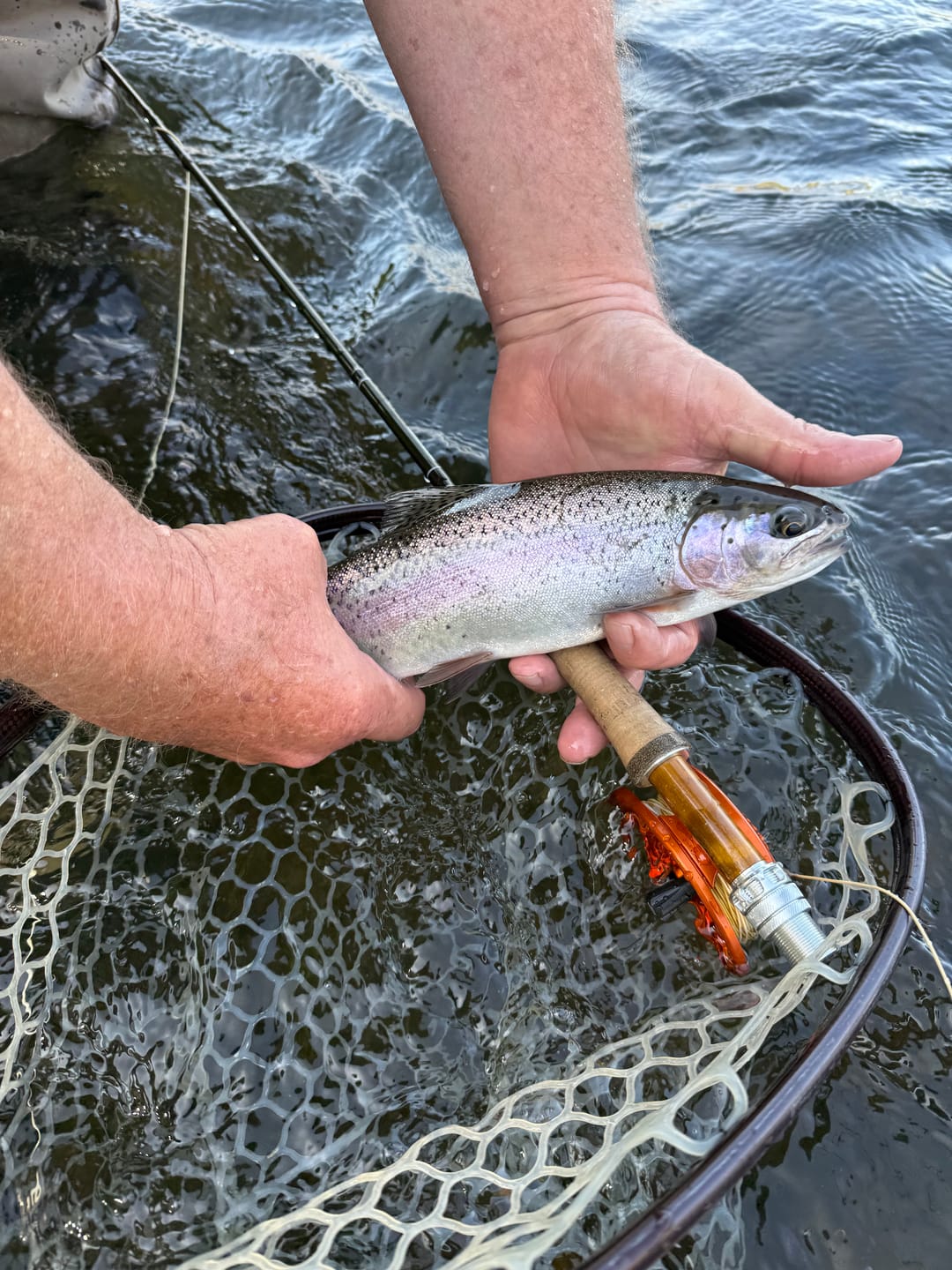 Customer photo review of Lower Deschutes River | Guided Float Trip - Full Day