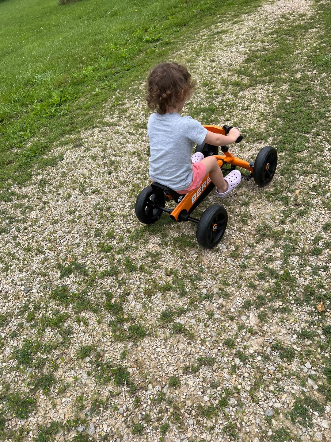 Customer photo review of BERG Buzzy