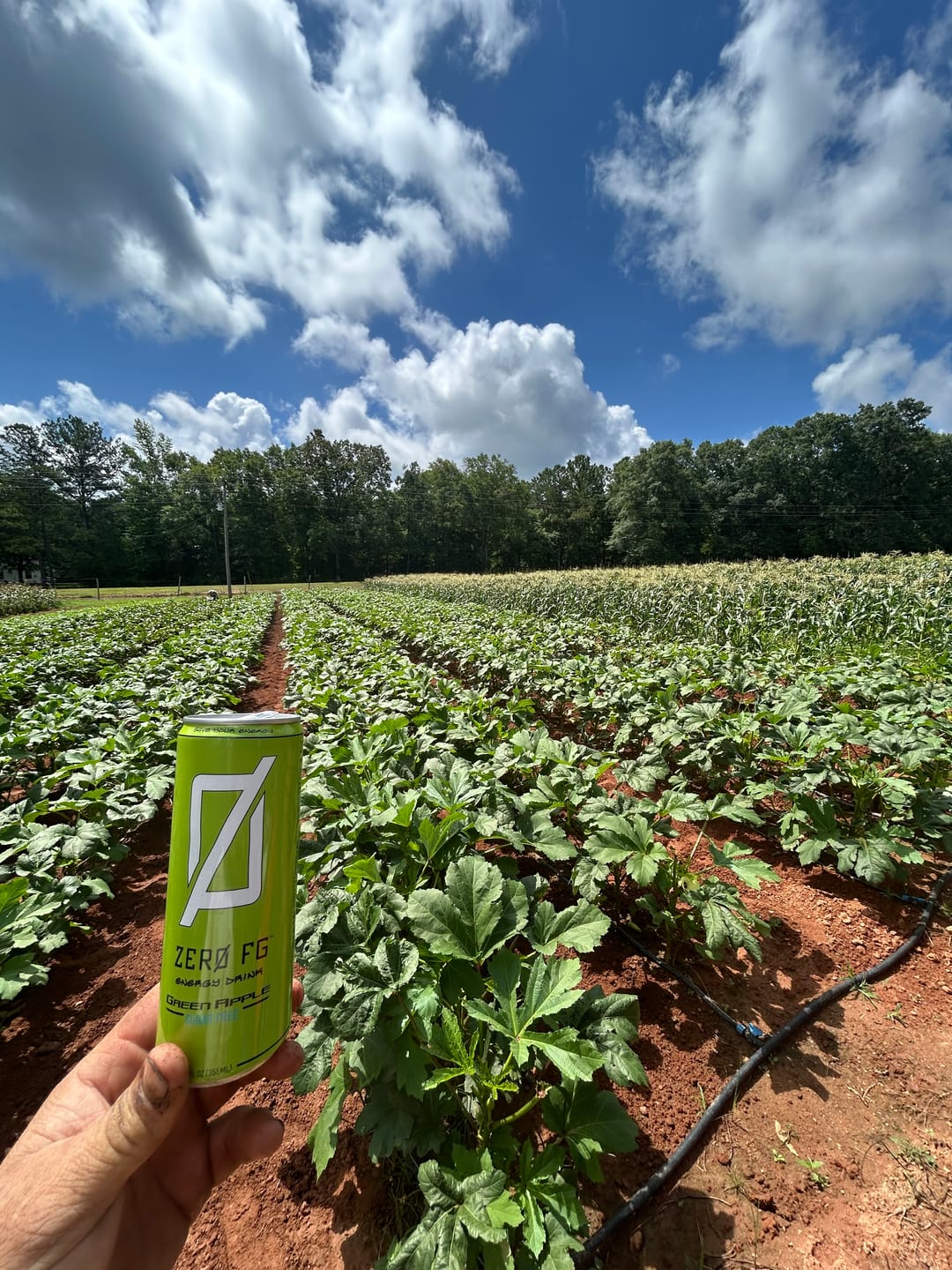 Customer photo review of ØFG Energy Drink - Green Apple Sugar Free (12-Pack)