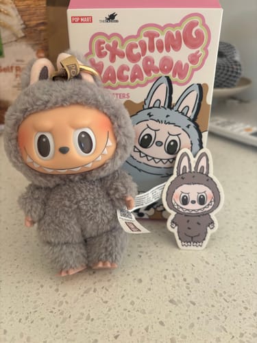 Customer photo review of Pop Mart Labubu The Monsters Tasty Macarons Vinyl Plush Pendant Single Blind Box