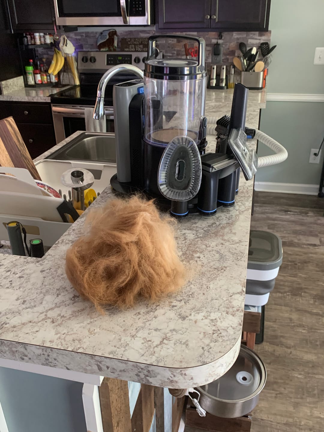 Customer photo review of furMe Professional PLUS Pet Grooming Vacuum Kit