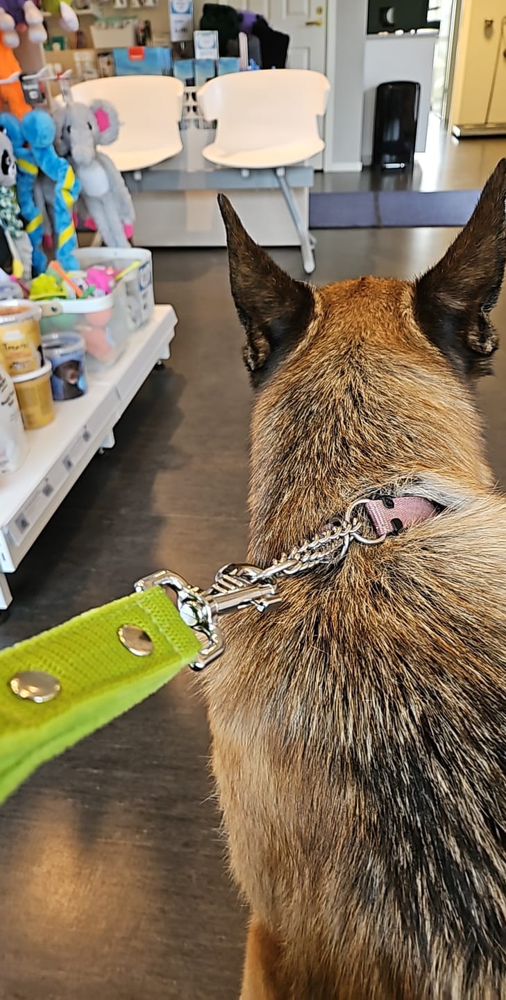Customer photo review of Hundkoppel med namn