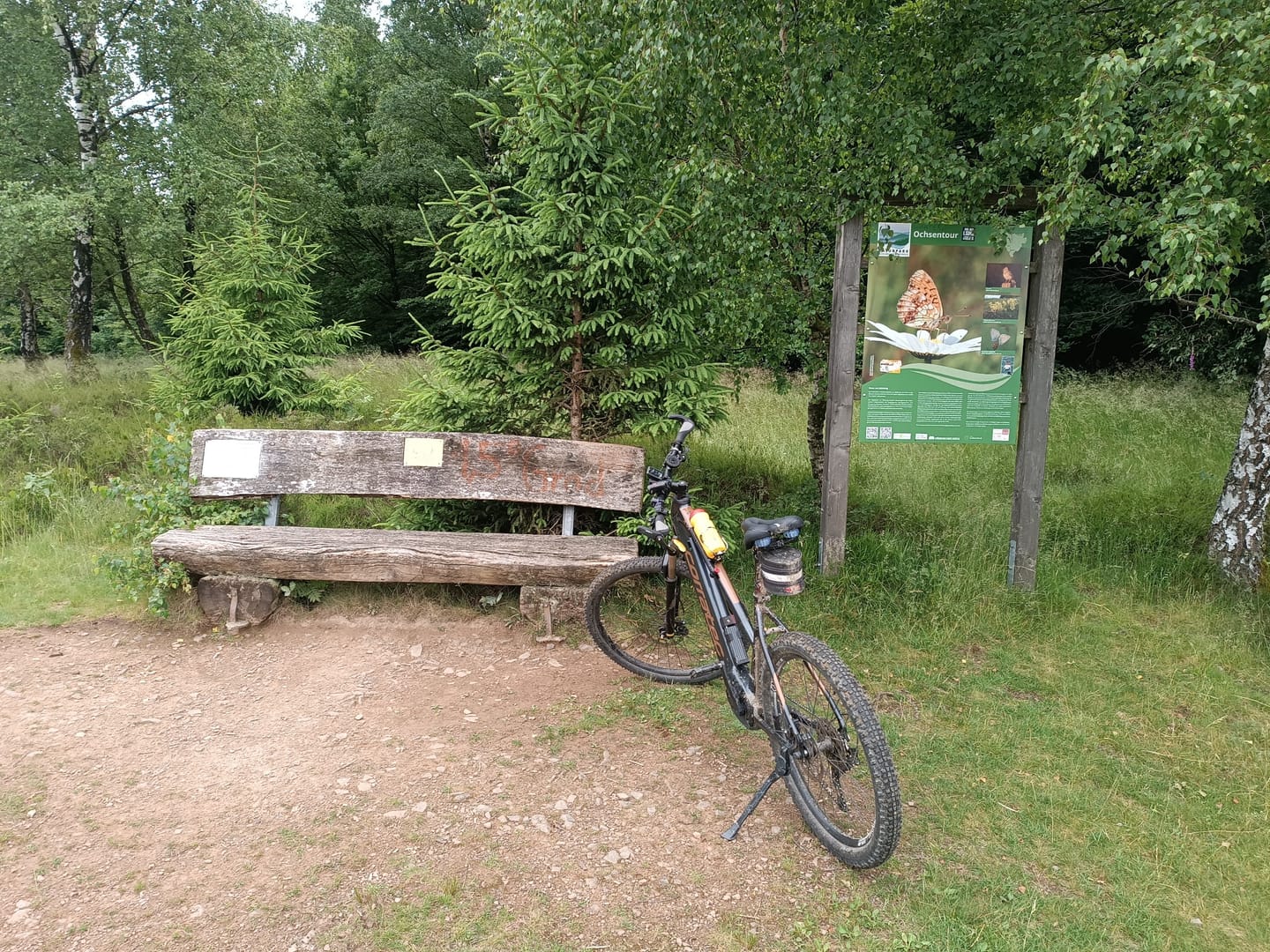 Customer photo review of Bikesattel - Premium Universal Sattel