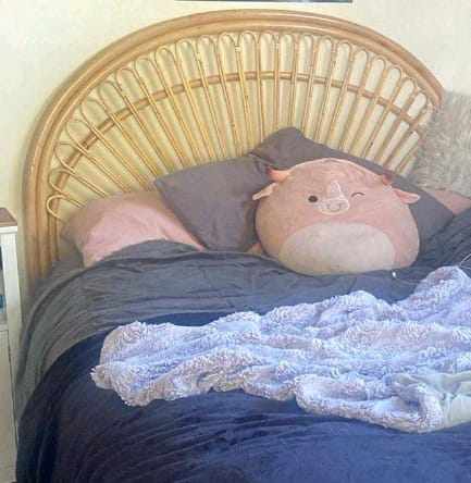 Customer photo review of Butterfly Rattan Bedhead SALE - PICK UP ONLY