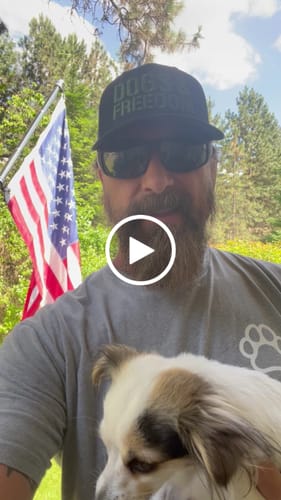 Customer video review of Hero Company Dogs & Freedom Hat: Helps Pair Veterans With A Service Dog or Shelter Dog