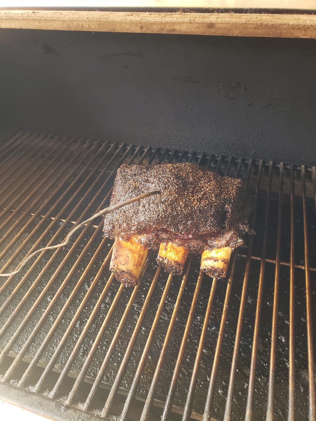 Customer photo review of Buy Bone-In Short Ribs, get FREE Meat Church Holy Cow Seasoning!