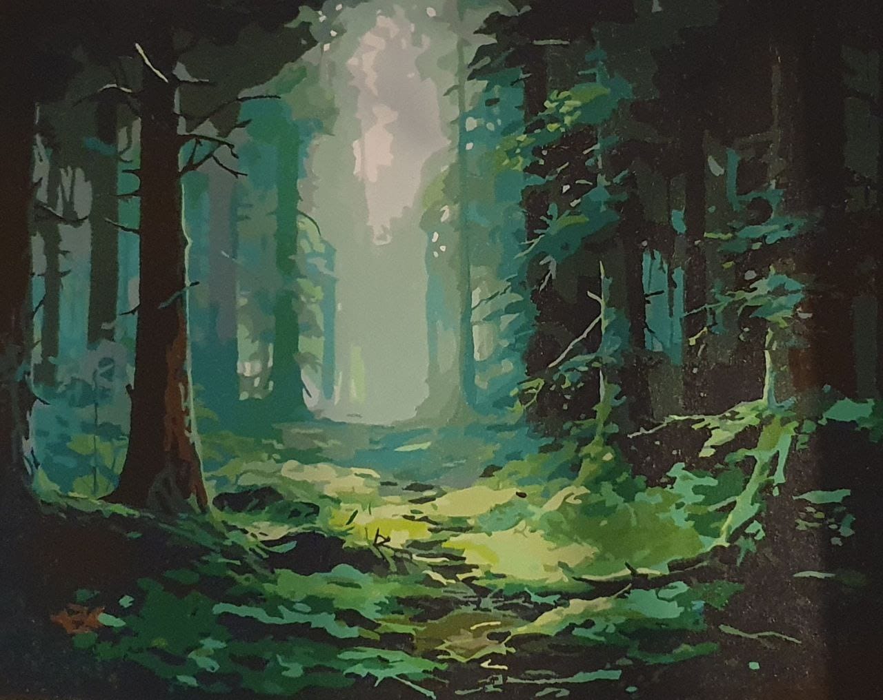 Customer photo review of Misty Forest