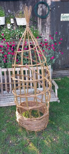 Customer photo review of The Willow Plant Support - Course and Kit