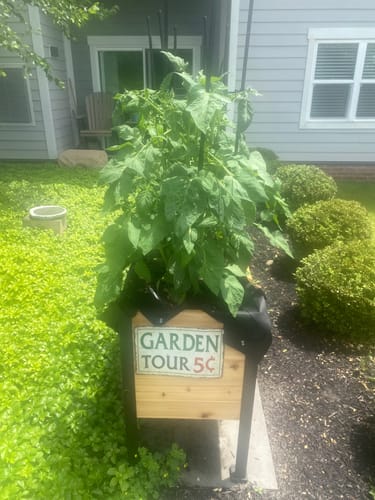 Customer photo review of Vegetable Cage