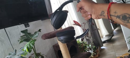 Customer photo review of One 1Gen