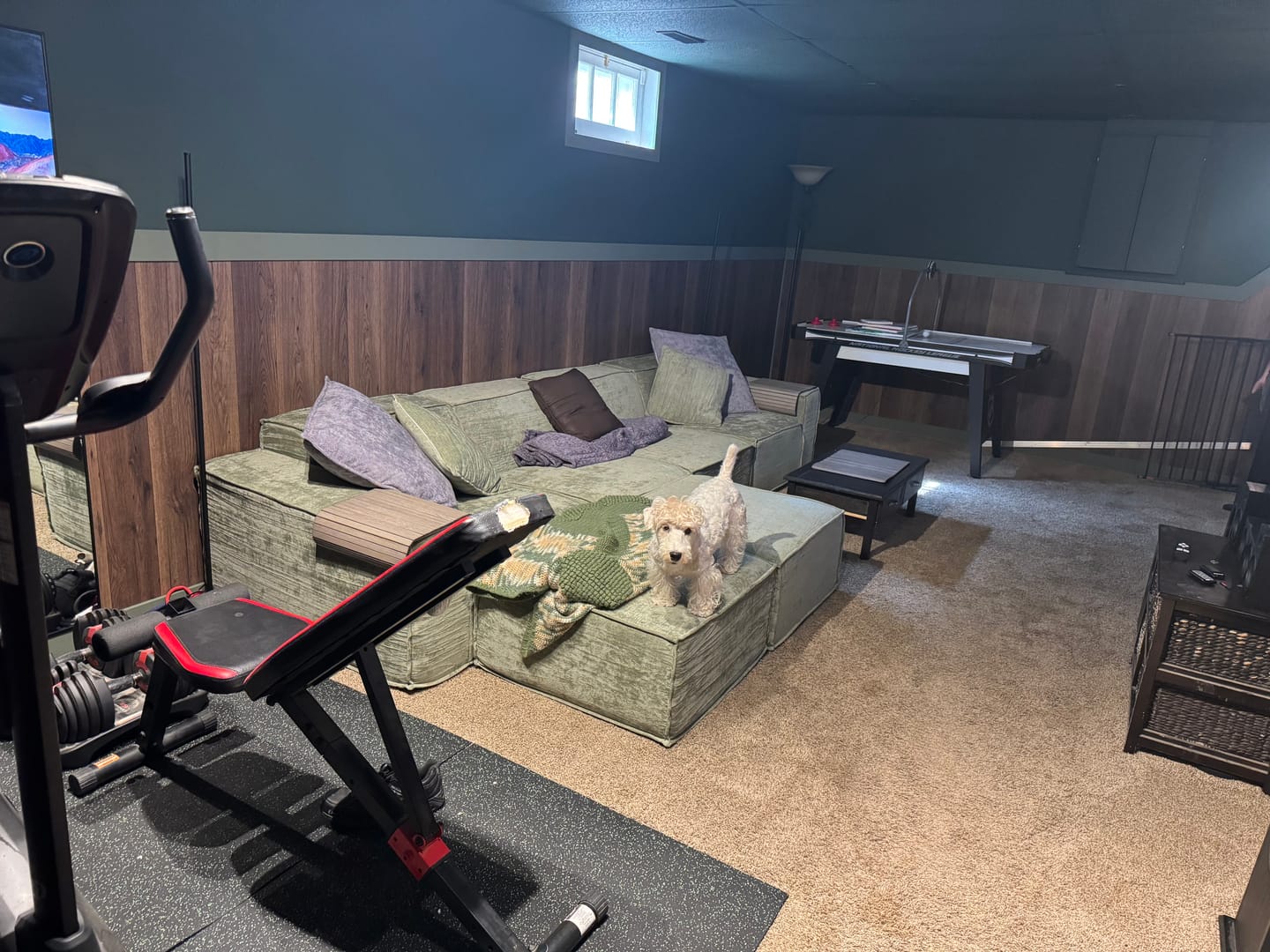 Customer photo review of M1 Armless Sofa Seat