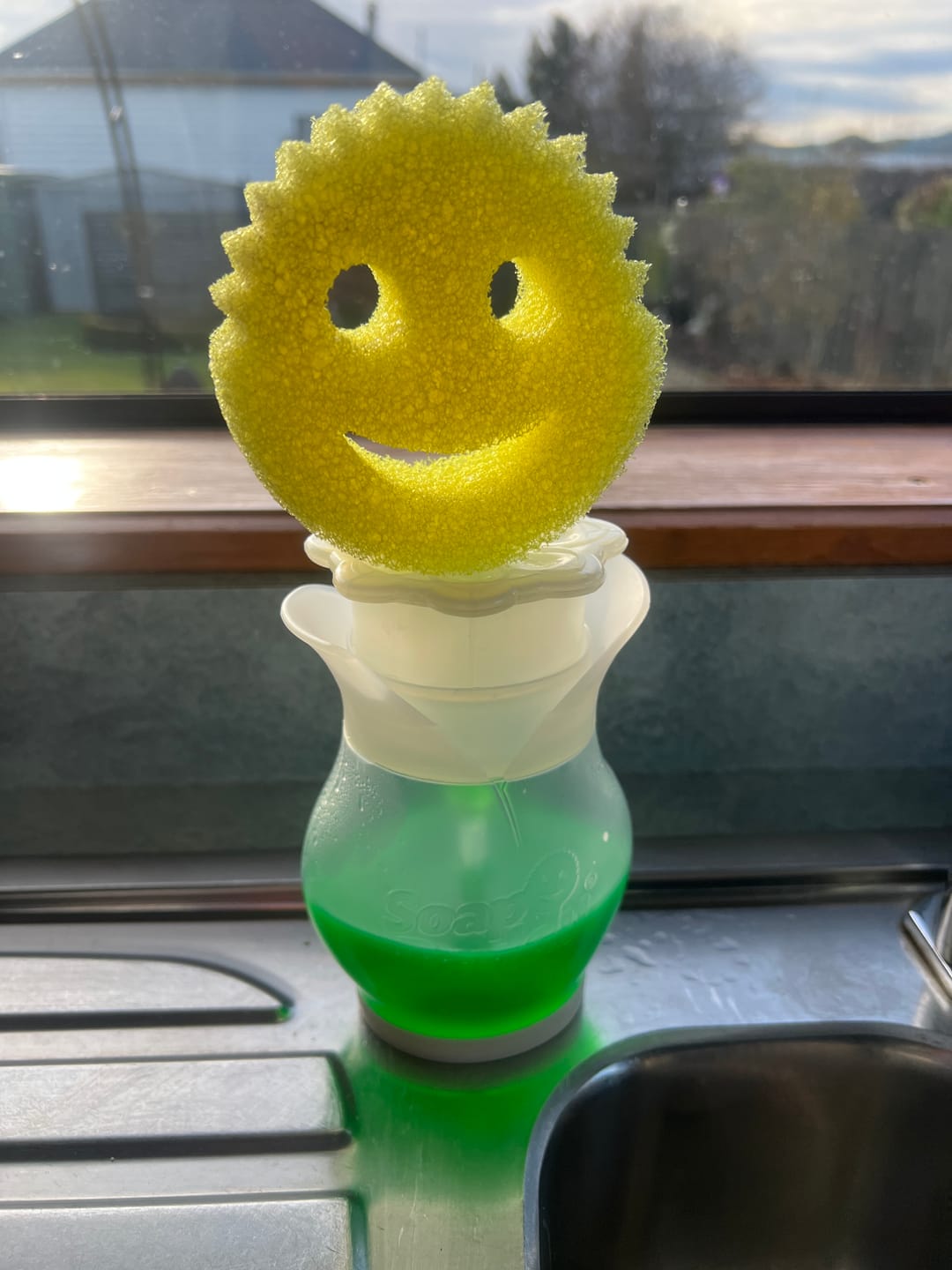 Customer photo review of Dish Daddy