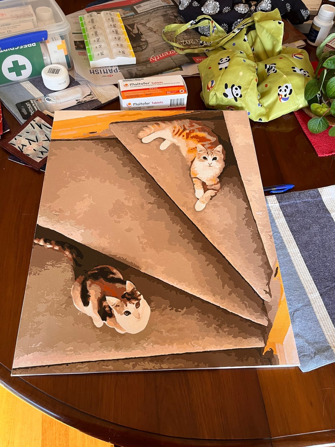 Customer photo review of Custom Paint by Numbers Kit