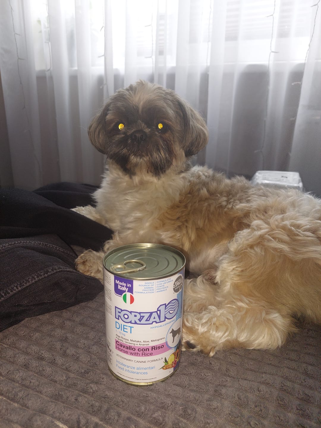 Customer photo review of DIET konservi ar zirga gaļu un rīsiem