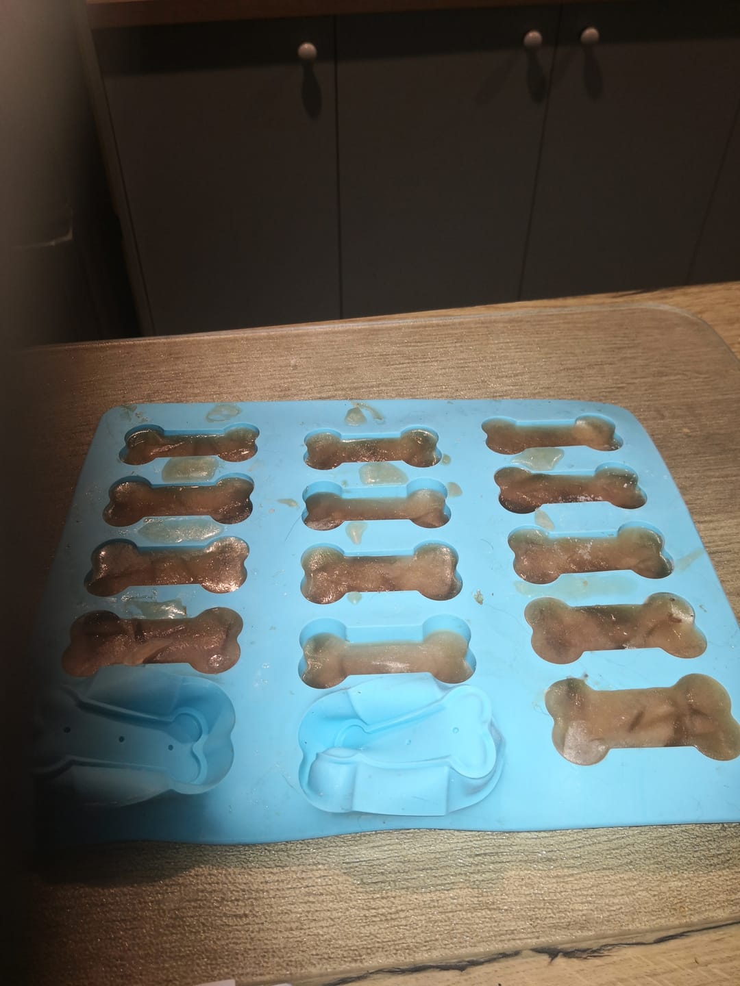 Customer photo review of Bone Broth for Dogs & Cats