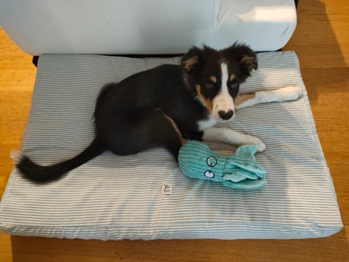 Customer photo review of Materassino Sfoderabile Cotone Premium Riga Stretta Azzurro