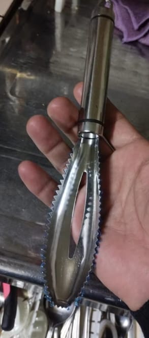 Customer photo review of Easy Fish Scales Scraper