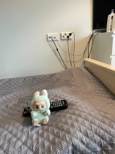 Customer photo review of Pop Mart Labubu The Monsters Have a Seat Vinyl Plush Blind Box