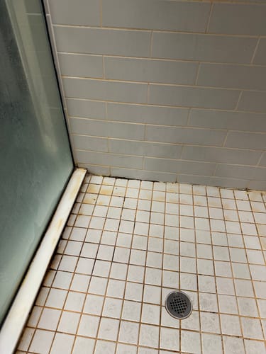 Customer photo review of Ultimate Shower Bundle