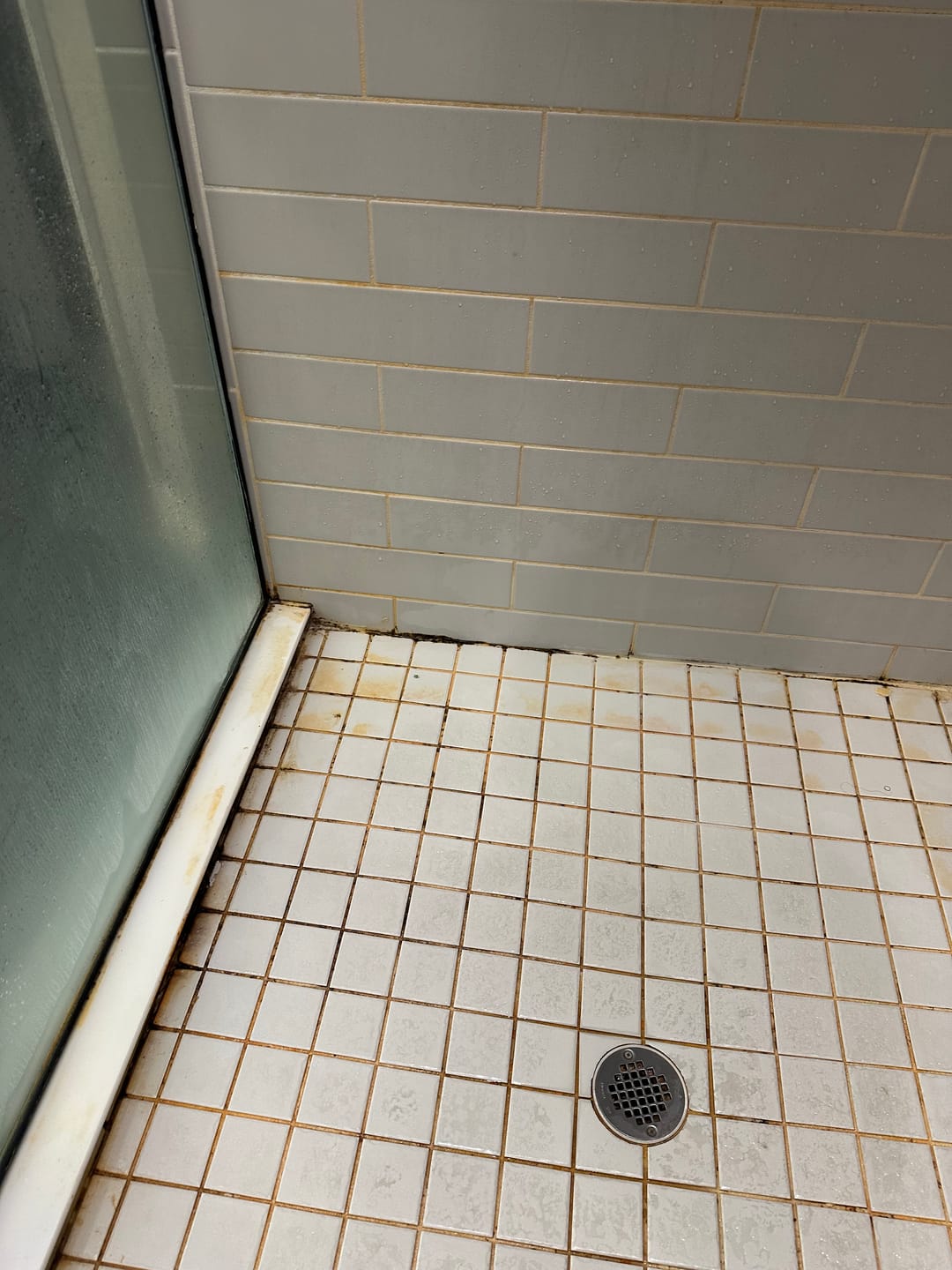 Customer photo review of Ultimate Shower Bundle