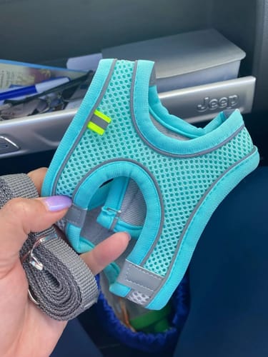 Customer photo review of Explorer Harness | Less boredom. More discovery. A better life for your indoor cat.