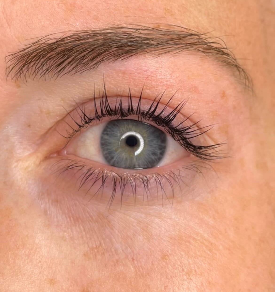 Customer photo review of Tinte de Pestañas y Cejas "Inlei"