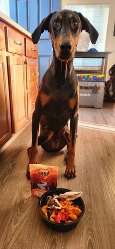 Customer photo review of Rabbit Ears