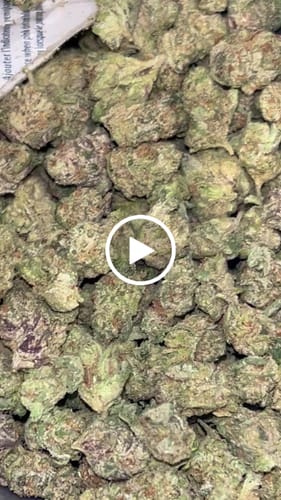 Customer video review of Candy Runtz - Bulk - Minis (Hybrid)