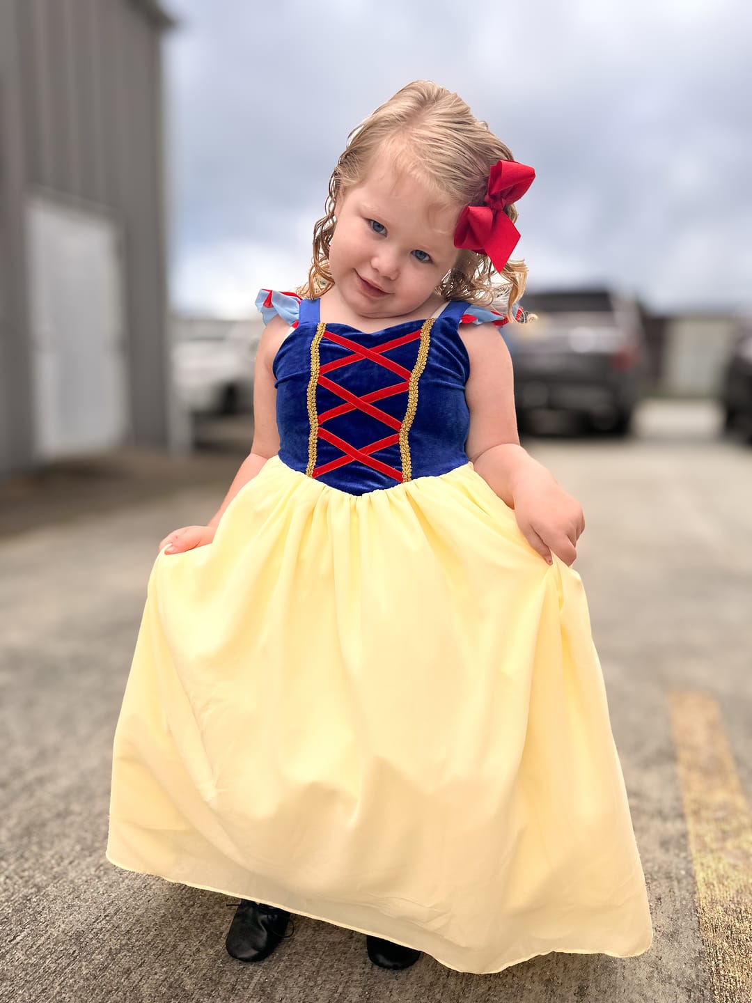 Customer photo review of Portrait Collection Snow White Gown