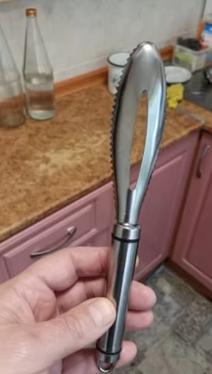 Customer photo review of Easy Fish Scales Scraper