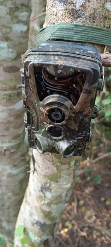 Customer photo review of Caméra de chasse 4K avec écran - Nature & Chasse®