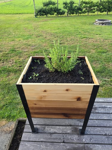 Customer photo review of 18″ x 24″ Raised Garden Bed - 30" TALL