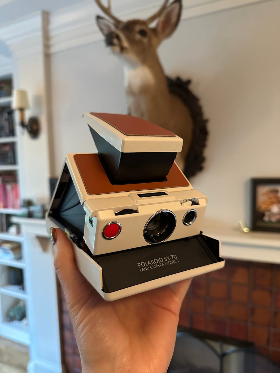 Customer photo review of Polaroid SX-70 Model 2 White Folding Instant Film Camera
