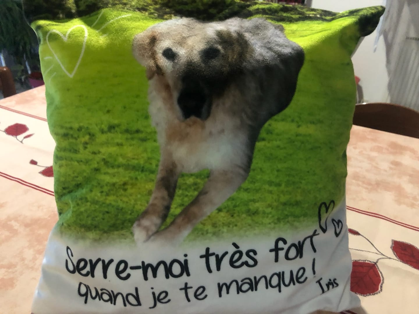 Customer photo review of Serre-moi très fort quand je te manque - Coussin personnalisé