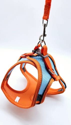 Customer photo review of Explorer Harness | Less boredom. More discovery. A better life for your indoor cat.