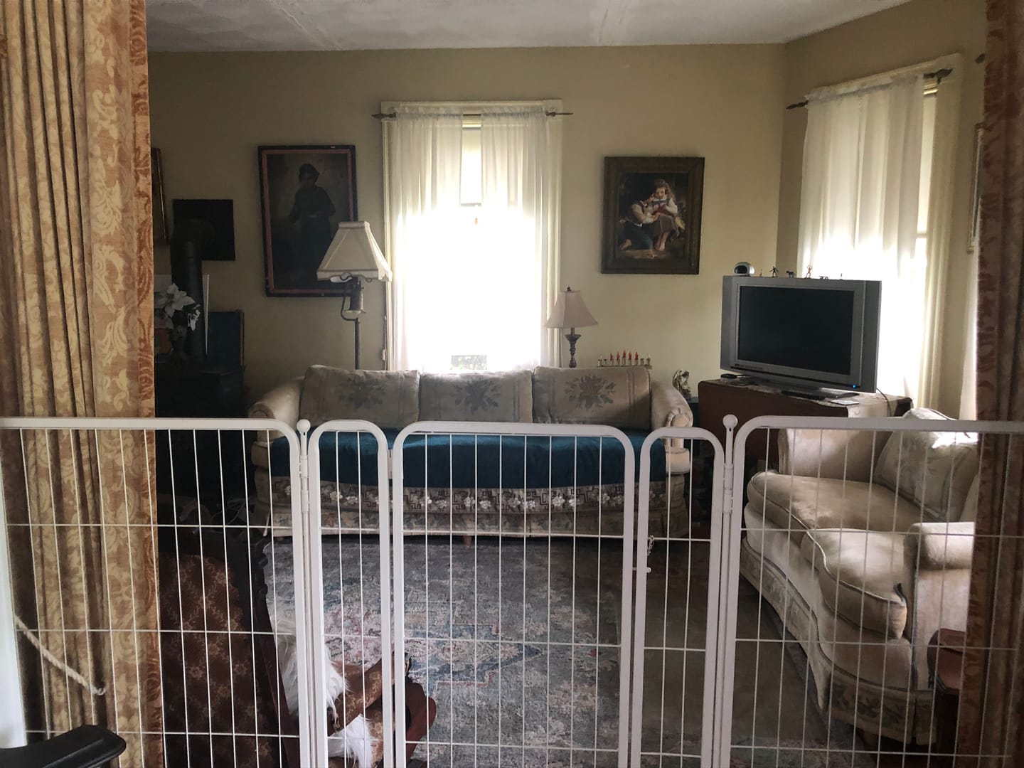 Customer photo review of Homeplus Dog Playpen for Indoor Use