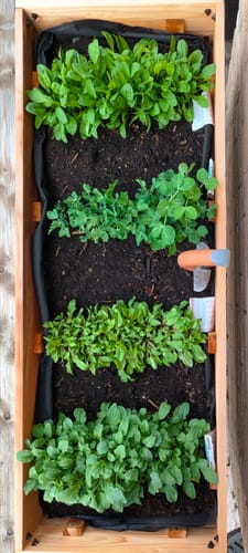 Customer photo review of 18" x 48" Raised Garden Bed - 30" TALL