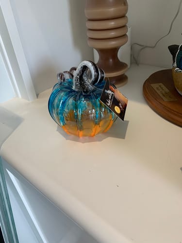 Customer photo review of Daily Pumpkin 328 Squat