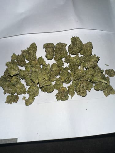 Customer photo review of Trainwreck THCA Flower