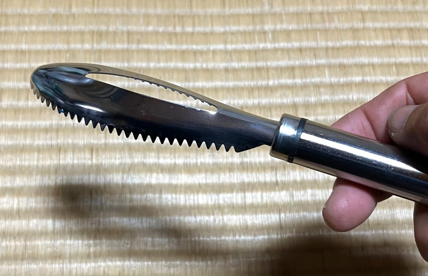 Customer photo review of Easy Fish Scales Scraper