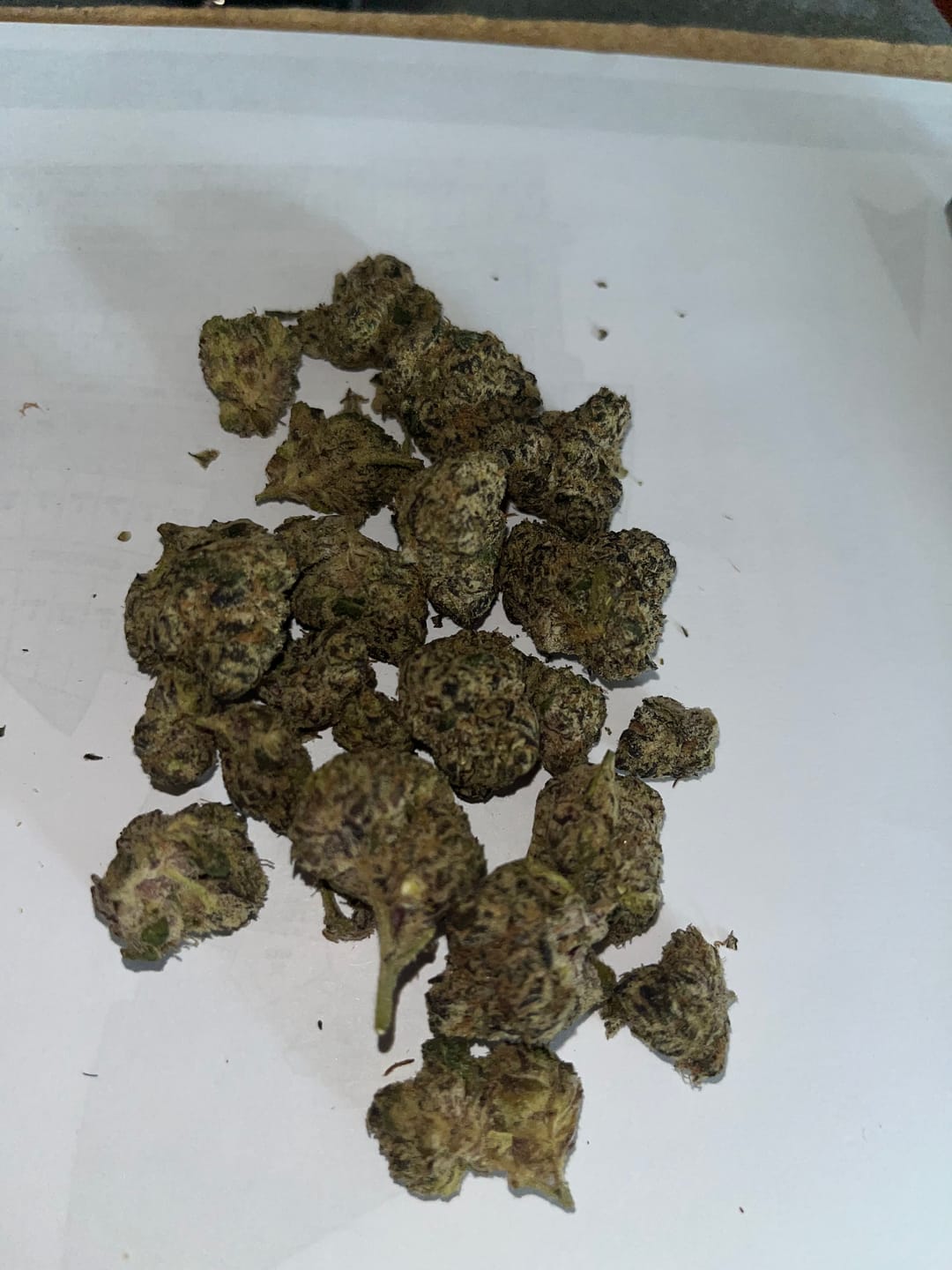 Customer photo review of Black Cherry OG