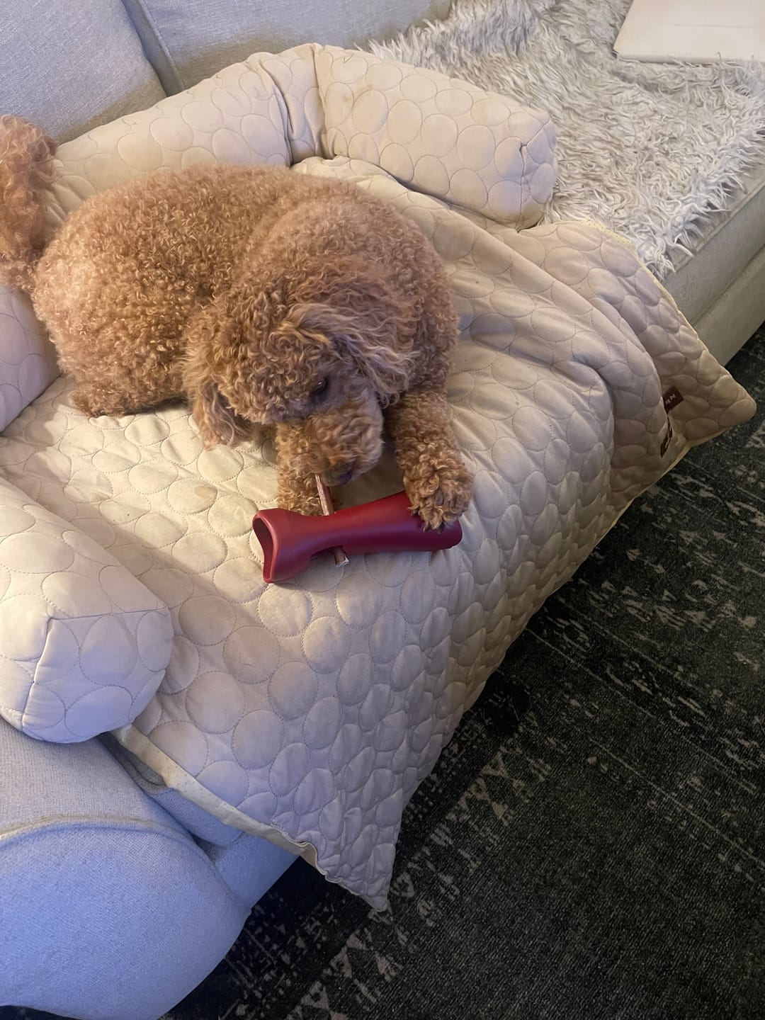 Customer photo review of Maplewood Smoked Bullys
