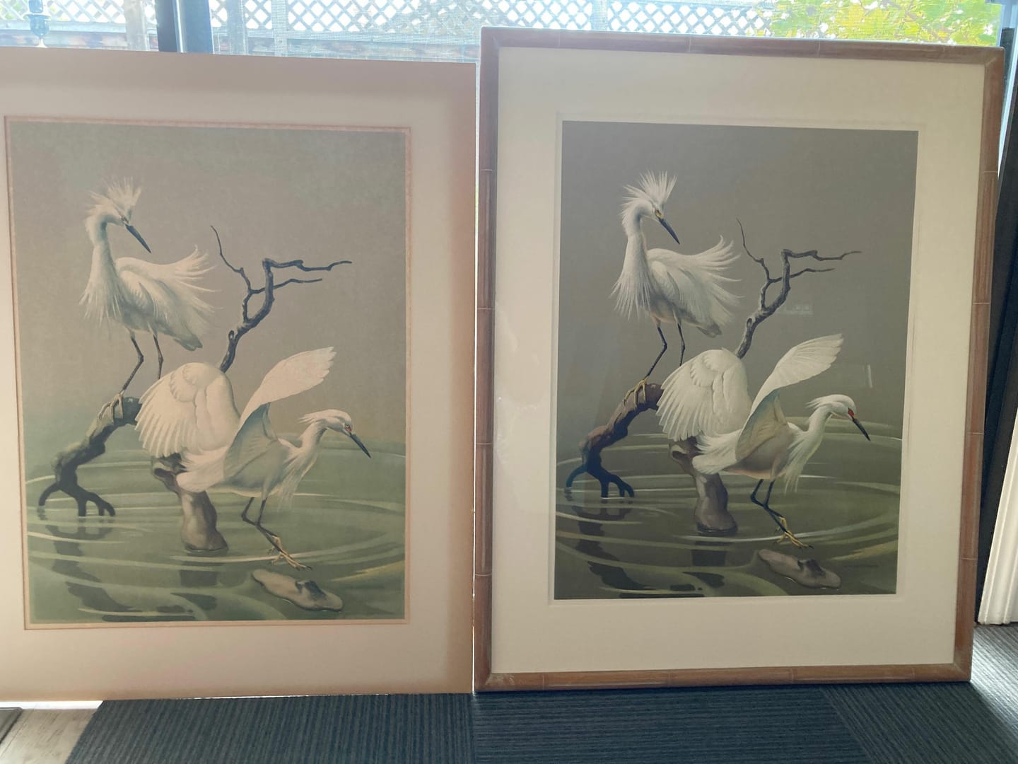 Customer photo review of Snowy Egrets by Roger Tory Peterson, mint condition vintage lithograph printed in the 1940s