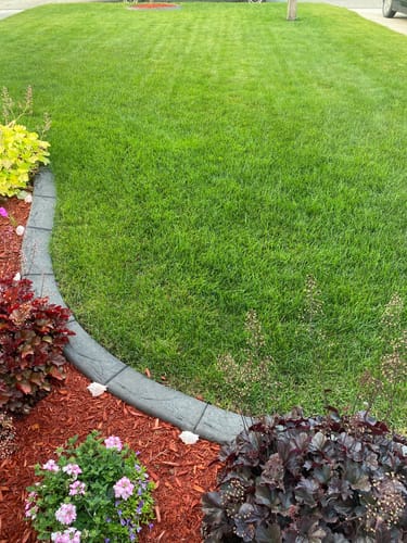 Customer photo review of Par 3 Herbicide Lawn Weed Killer 4L