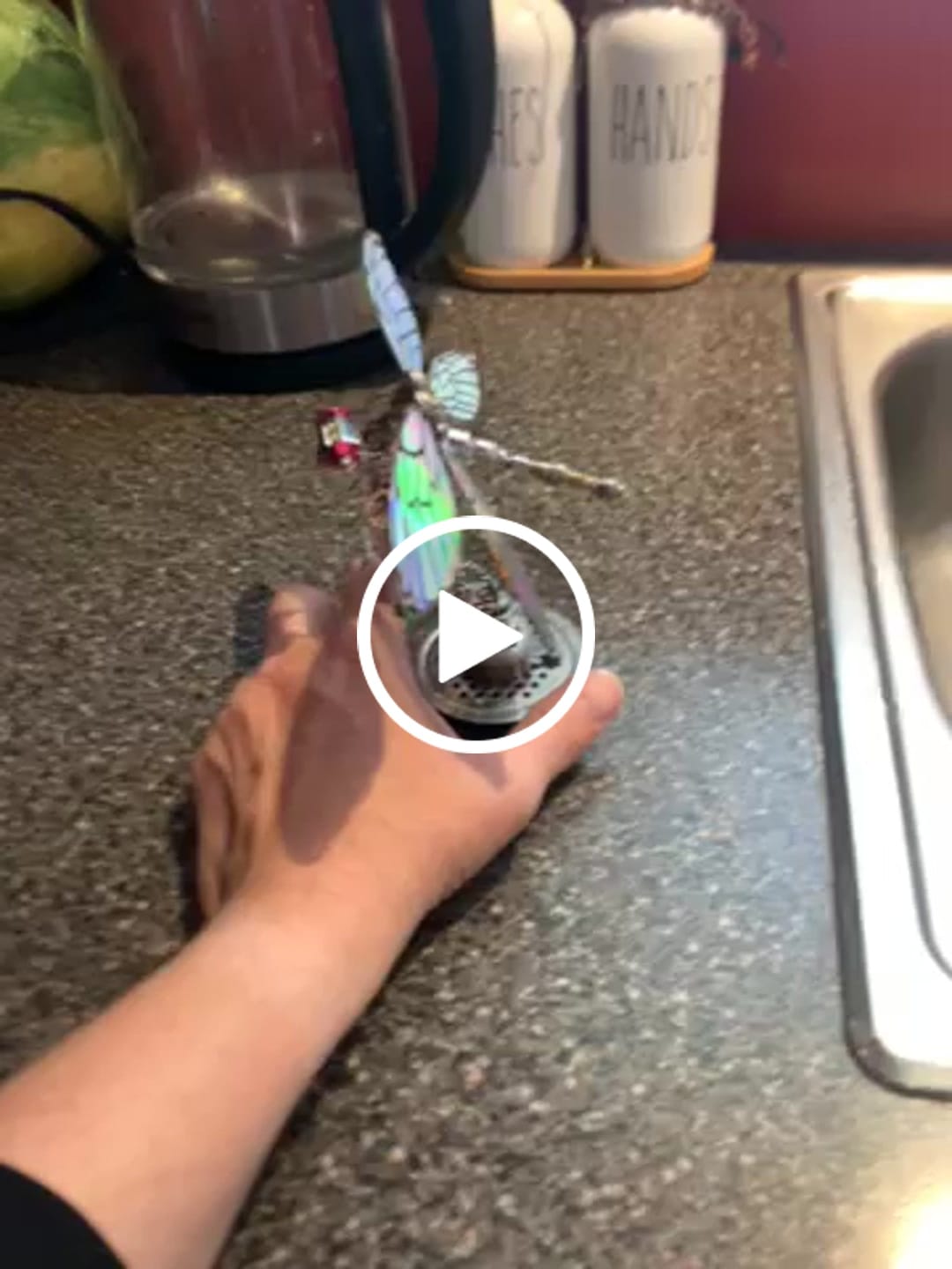 Customer video review of Dragonfly
