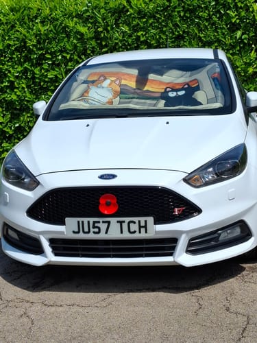 Customer photo review of Catventure - Personalised Car Sunshade