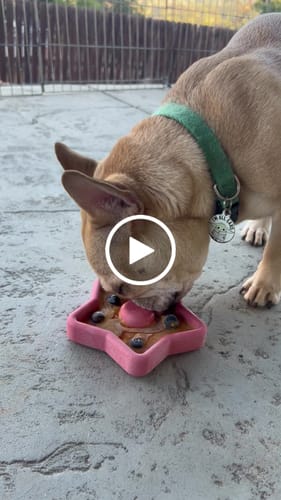 Customer video review of The Favorite Bundle: 3 Tough Bones Dogs Can’t Get Enough Of