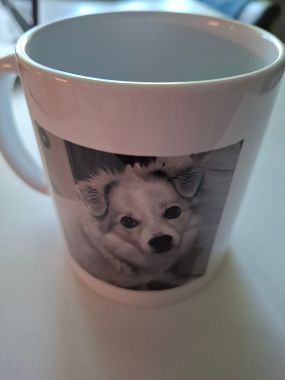Customer photo review of Definition Seelentier - Individuelle Tasse
