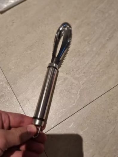 Customer photo review of Easy Fish Scales Scraper