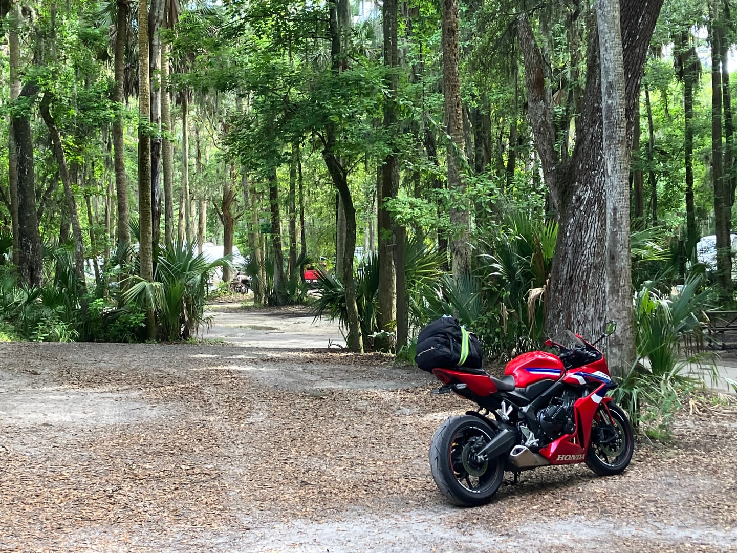 Customer photo review of Honda CBR650R / CB650R